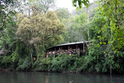 La Reserva Margay por dentro