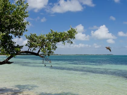 La Reserva Natural de Sian Ka'an en Quintana Roo conservan lo mejor de la Riviera Maya. Fuente: Wikipedia.