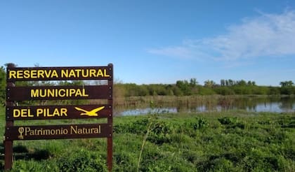 La Reserva Natural del Pilar es un espacio protegido muy cerca de la Capital Federal