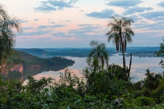 Áreas protegidas. El arduo trabajo de cuidar una reserva natural