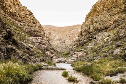 La Reserva Natural Privada Sierras Grandes fue un lecho marino modelado a fuerza de antiguos plegamientos y esconde restos arqueológicos de 6.000 años.