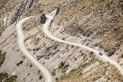 La Reserva Natural Villavicencio en Mendoza.