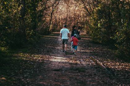 La Reserva tiene 100 metros por 6 kilómetros y funciona como un "gran amenity" de Puertos, además de ser un sitio educativo y de conservación.