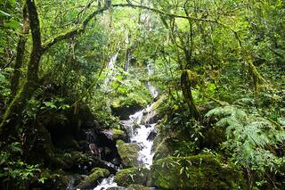 La primera provincia del país en aprobar una ley de humedales
