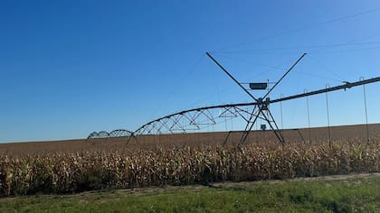 La resolución aclaró que determinadas inversiones podrán acceder a los beneficios sin necesidad de cumplir ese piso mínimo. Entre ellas figuran “sistemas y/o equipos de riego, bienes de alta eficiencia energética, mallas antigranizo para el sector agropecuario y bienes semovientes”
