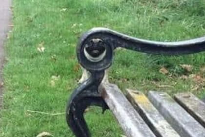 La resolución dejó a más de uno con la boca abierta