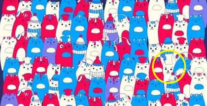 La resolución del acertijo