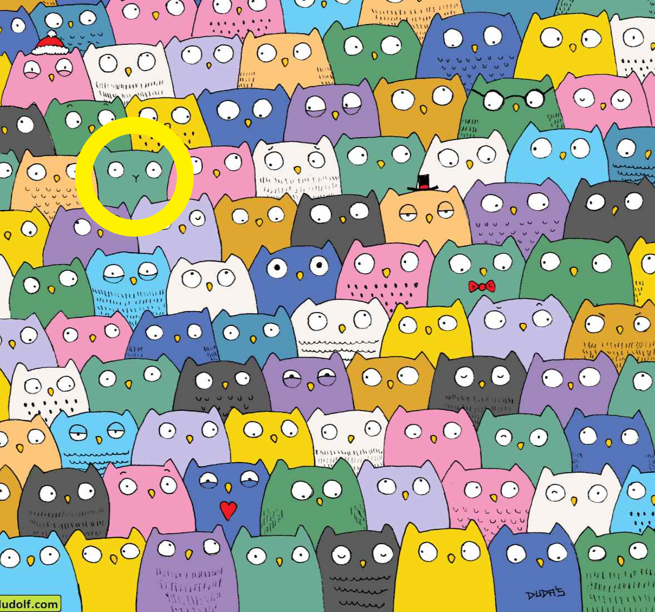 La resolución del acertijo del gato en medio de una manada de búhos