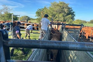 Fuerte rechazo del campo por el fallo que suspende artículos clave de la reforma laboral