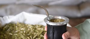 El Instituto de la Yerba se reseteó para que se concentre en verificar la calidad de los productos