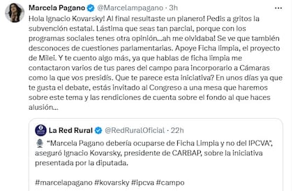 La respuesta de Marcela Pagano tras la crítica de Ignacio Kovarsky, presidente de Carbap, a su proyecto por el Ipcva