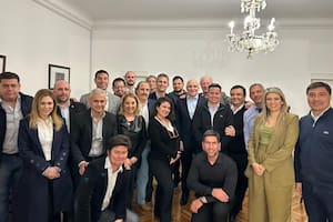 La oposición impulsa una sesión con temas incómodos para el Gobierno y le envía una advertencia a Francos por la Ley de Discapacidad - Image 2