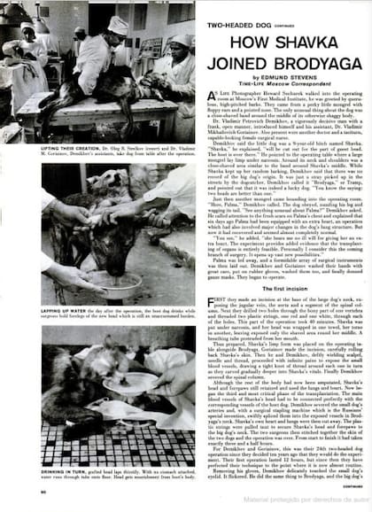 La revista LIFE la edición del 20 de julio 1959 publicó el experimento bajo el título “El perro de dos cabezas de Rusia”