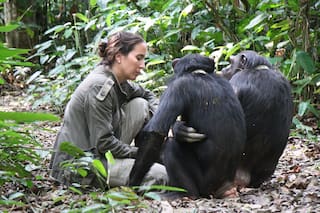 “Estuve a punto de morir y un chimpancé me salvó la vida”