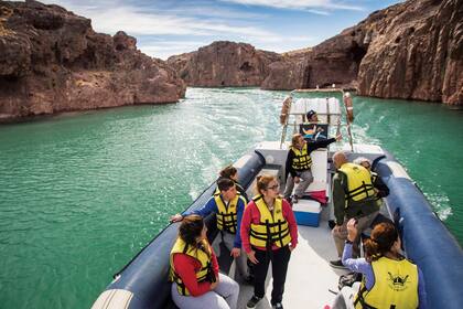 La ría Deseado, una entrada del mar de 50 kilómetros, ideal para navegar plácidamente y observar la gran variedad de fauna que alberga