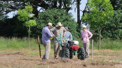 La riqueza florística del NEA es estudiada, conservada y utilizada con fines de mejoramiento genético