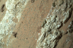 La roca con las "manchas de leopardo" que podrían ser restos dejados por microbios, según la NASA