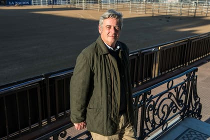 Nicolas Pino: “Es evidente cuando observamos países vecinos como Brasil, Uruguay o Paraguay que avanzan gracias a condiciones más amigables para producir"