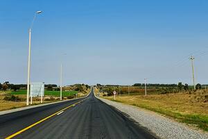 Un turista argentino murió en Colonia: el auto en el que viajaba chocó contra tres vacas y un árbol