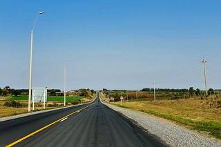 Un turista argentino murió en Colonia: el auto en el que viajaba chocó contra tres vacas y un árbol