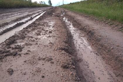 La ruta Provincial Nº 31, que conecta los municipios de Maciá y Viale, es un camino troncal para la producción entrerriana.