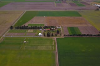 Mantener encendido el “motor biológico” puede atenuar los efectos de la sequía