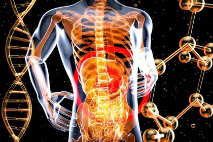 La salud también depende de los horarios de comida, según un estudio