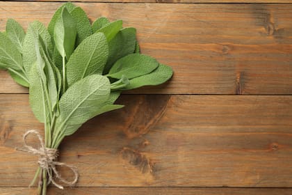 La salvia es reconocida por sus propiedades para la función cognitiva