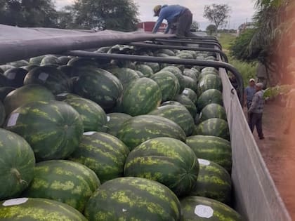 La sandía no se exportaba a granel desde 1983