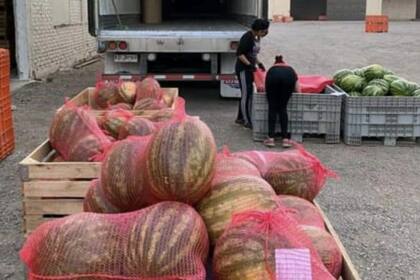 La sandía, por ejemplo, tenía que tener este tipo de virutas para ser exportada