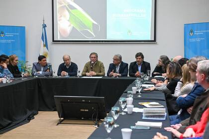 La Secretaría de Agricultura presentó el programa BiodesarrollAr