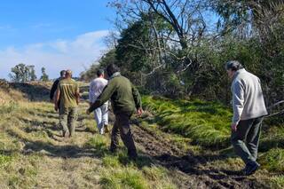 Qué pasó en Moreno con un puma