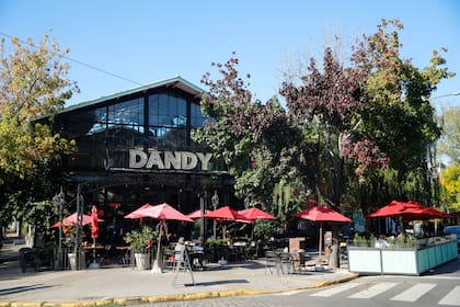 La sede de Dandy en Saavedra destaca por su estética inspirada en un jardín invernadero, con grandes paneles de vidrio, amplios y luminosos espacios, así como la presencia de plantas y flores.




