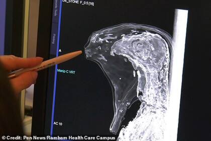 La segunda momia con forma de pájaro que contenía los restos de un ave, posiblemente un halcón, colocado para representar al dios Horus