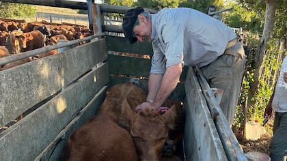 “La seguridad jurídica no es lujo: es la base para plantar, cosechar y contratar”, afirmaron en la SRA
