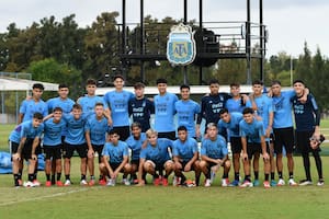 La selección argentina Sub 17 es dirigida por Diego Placente y cuenta con 23 jugadores en el plantel