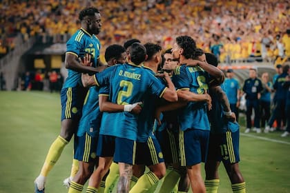 La selección Colombiana enfrentará a Uzbekistán, RD Congo y Portugal por el grupo K / Instagram @richardrios.m
