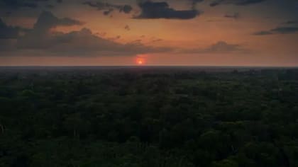 La selva aparece casi como un protagonista más en el nuevo documental de Netflix