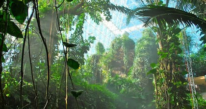 La selva tropical de Biósfera 2 fue armada con flora y fauna traída de Venezuela; debajo del suelo, Biósfera 2 tenía la sala de máquinas, necesaria para mantener cada ambiente en las condiciones correctas