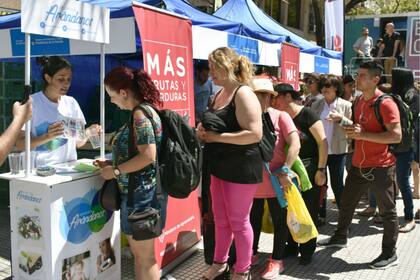 La semana del arándano busca incentivar el consumo local