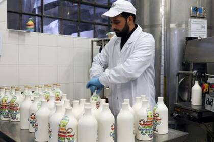 Este año, la producción de aceite de oliva de Italia cayó a su punto más bajo en 25 años