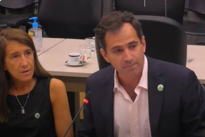 “Excluye al 99%”: una fundación del agro pidió que se contemple a las pymes dentro de un régimen de incentivo del Gobierno 6 La semana pasada la Fundación Barbechando expuso en la comisión de plenario del Congreso