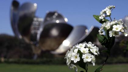 La semana se presenta con días soleados y temperaturas máximas que podrían alcanzar los 25°C
