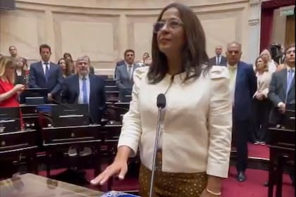 La senadora Carolina Moisés juró como vicepresidente del Senado