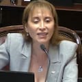 El enojo de una senadora kirchnerista y la embestida de Mayans contra Bullrich
