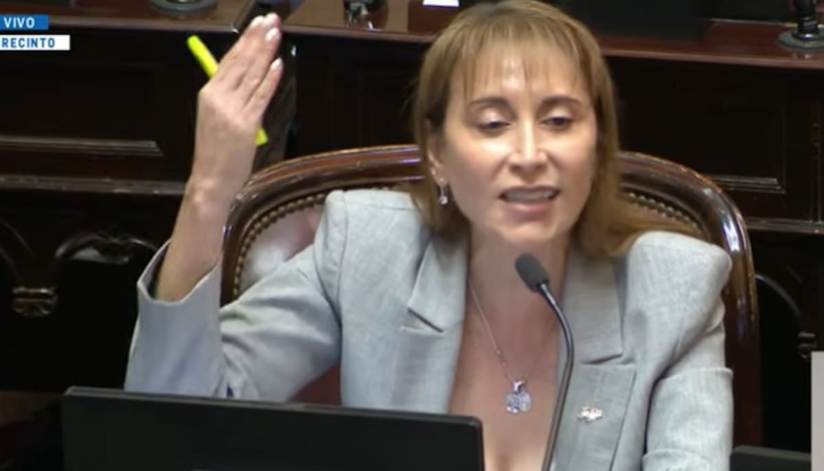 Orçamento 2026, direto. O Senado vota o projeto de lei de Javier Mille