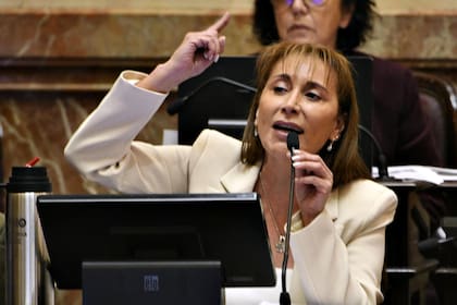 La senadora Cristina López en su exposición para el jefe de Gabinete, Guillermo Francos