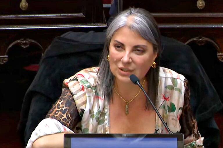 En Misiones niegan que el senador que dio la cara en plena votación por Figueroa coincidiera con el kirchnerismo. En Misiones niegan que el senador que dio la cara en plena votación por Figueroa coincidiera con el kirchnerismo.