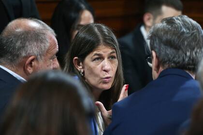 La senadora de Pro Guadalupe Tagliaferri