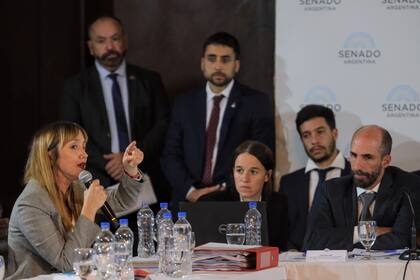 La senadora Fernández Sagasti durante el debate en comisión del Senado por la Ley Bases